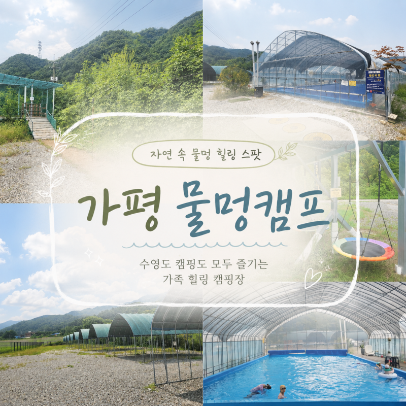 가평캠핑장 사계절 온수풀 키즈캠핑장 물멍캠프 재방문