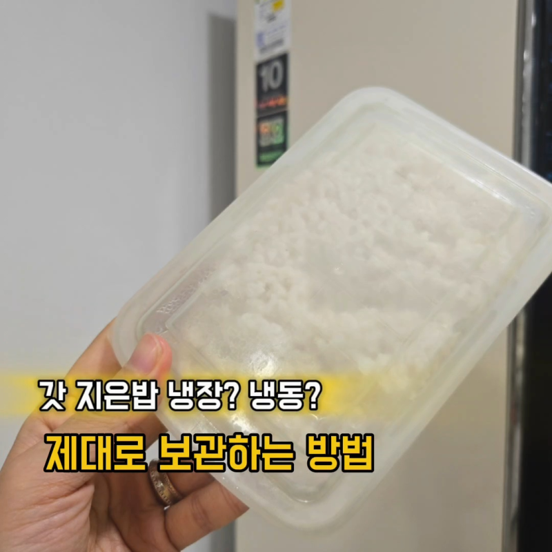 냉동밥 보관법, 뜨거울 때 넣어도 될까? 용기부터 해동까지 알아보니