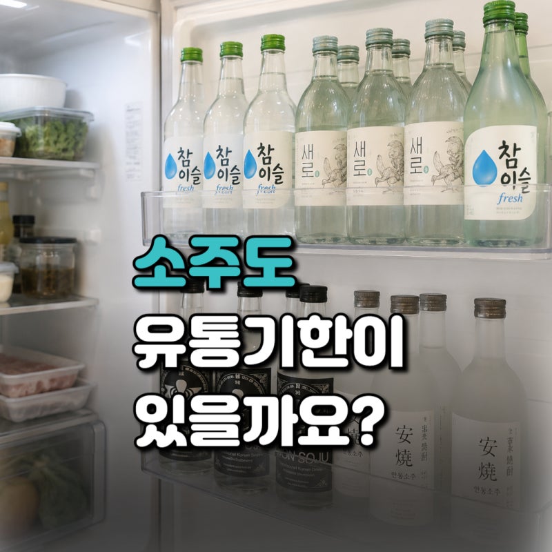 소주 유통기한, 미개봉·유통기한 보는법, 1년·3년·5년·안동소주·원소주·새로·참이슬까지 ....