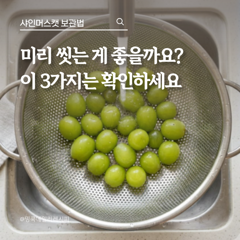 샤인머스캣 한 송이 냉장보관, 씻어서 넣으면 안 될까?