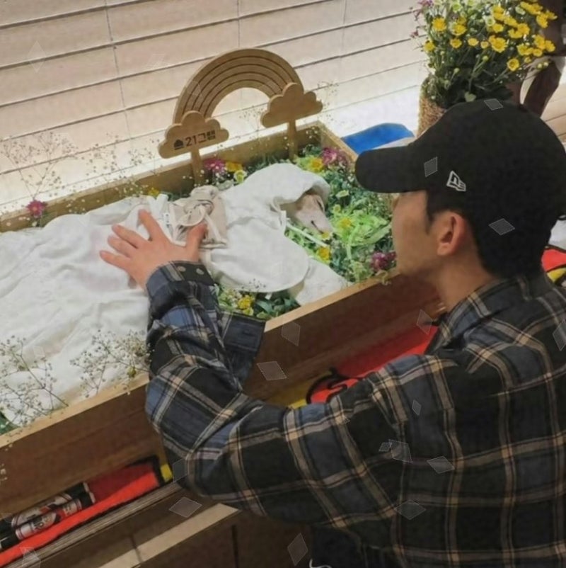 14년 함께한 강아지, 생일 지키고 떠났다…조권이 전한 ‘더 안아줄걸’의 무게