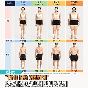 BMI 계산하기 지수 정상 과체중 고도비만 기준 정리