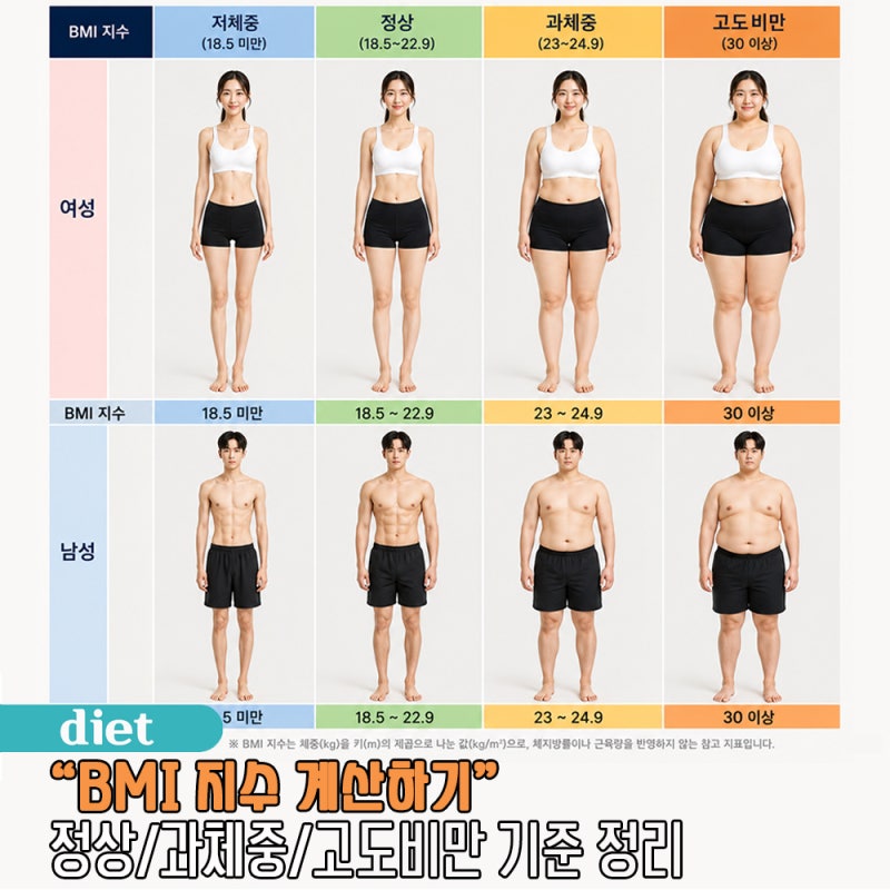 BMI 계산하기 지수 정상 과체중 고도비만 기준 정리
