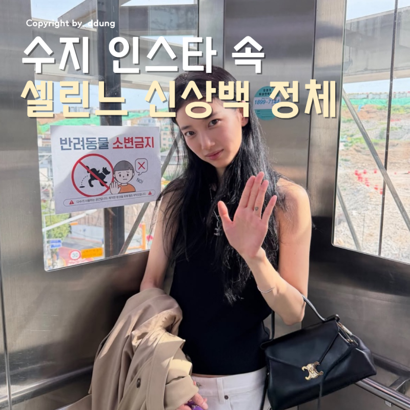 수지 인스타 속 가방 정체는? 셀린느 플레어 백 가격