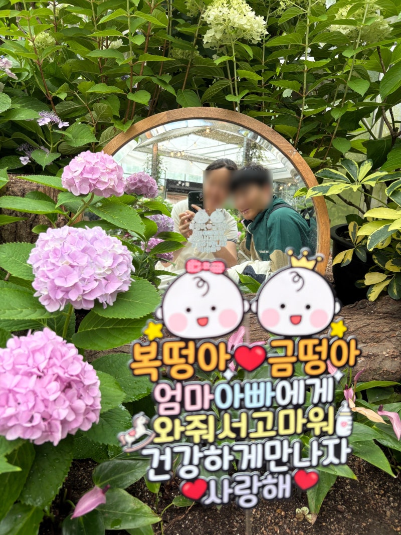 쌍둥이 임산부:D 22주차 호캉스 태교여행 in 제주도