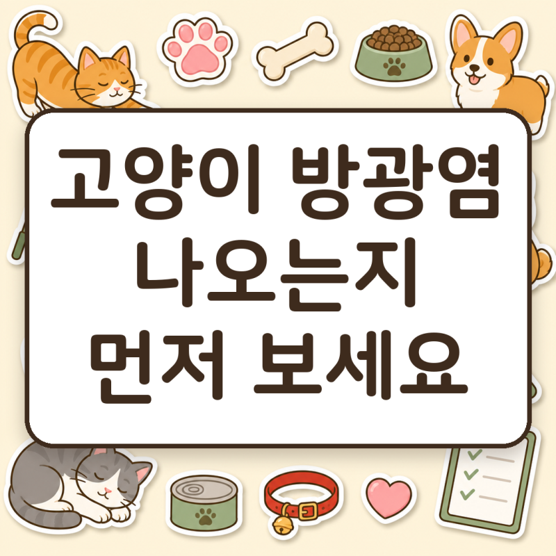 고양이 방광염, 소변이 나오는지부터 보세요