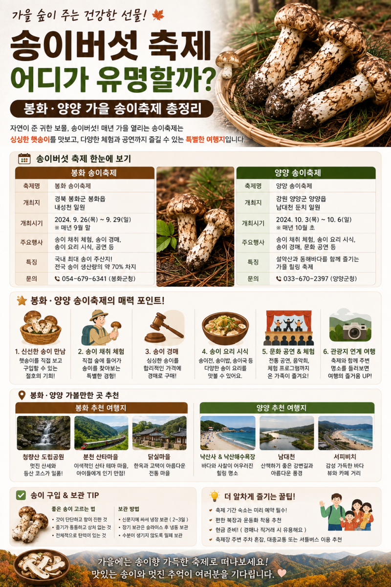 송이버섯 축제 어디가 유명할까?｜봉화·양양 가을 송이축제 총정리