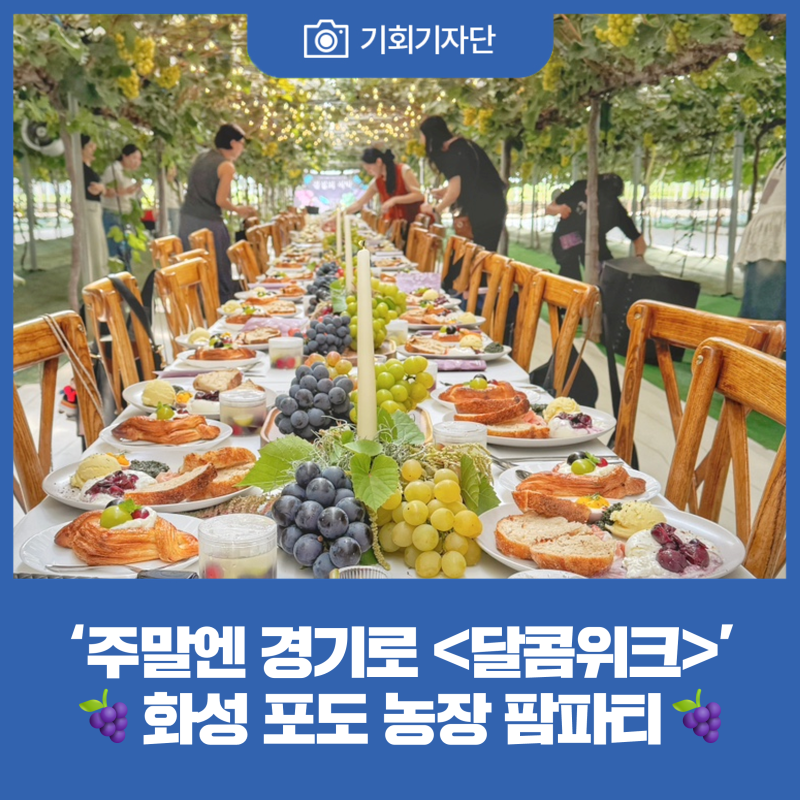 [기회기자단] ‘주말엔 경기로 ’ 화성 포도 농장 팜파티