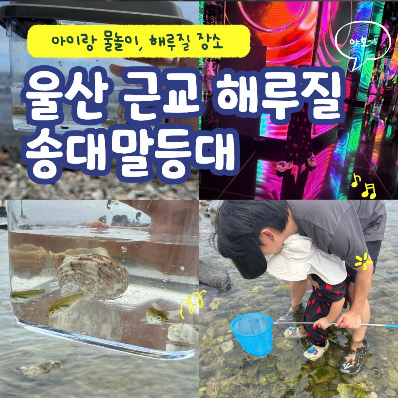 울산 근교 해루질 스노쿨링 송대말등대 아이랑 물놀이 장소
