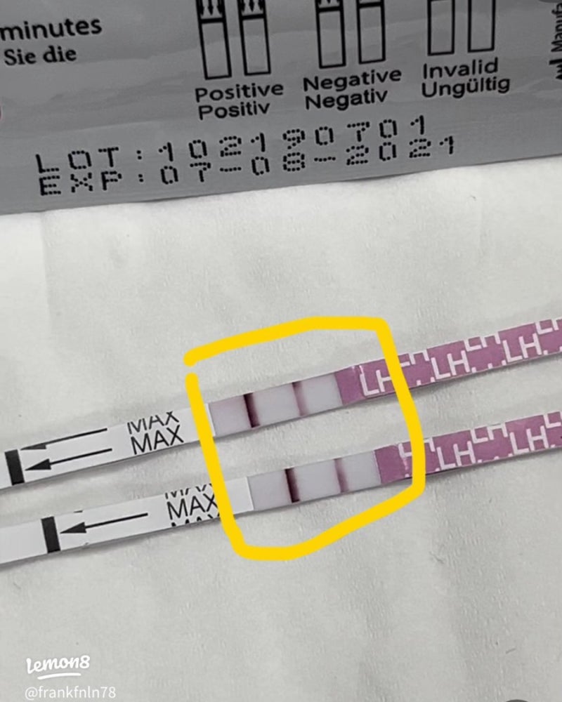 배테기 사용법 이렇게 하면 한 번에 성공!｜배란테스트기 꿀팁부터 피크체크 찐후기