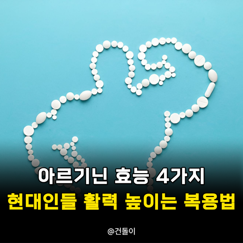아르기닌 효능 4가지 현대인들 활력 높이는 복용법