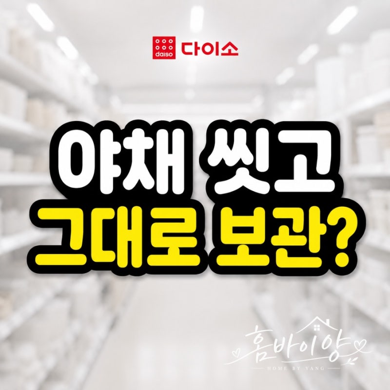 야채 씻고 그대로?다이소 3천원템 기가 막혀요