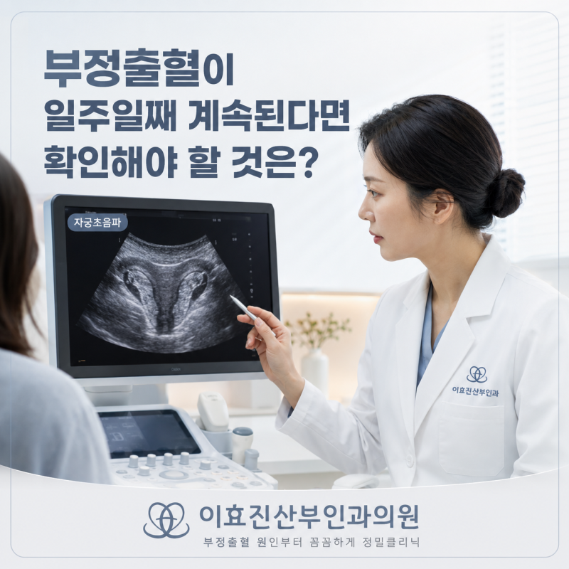 부정출혈이 일주일째 계속된다면? 지속출혈에서 확인해야 할 원인과 검사