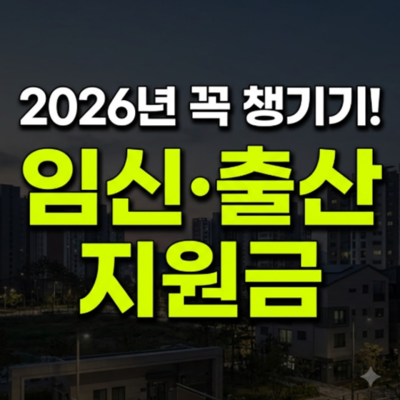 2026년 임신 출산 지원금 총정리: 바우처 종류, 신청 방법, 잔액조회, 사용처, 사용기간