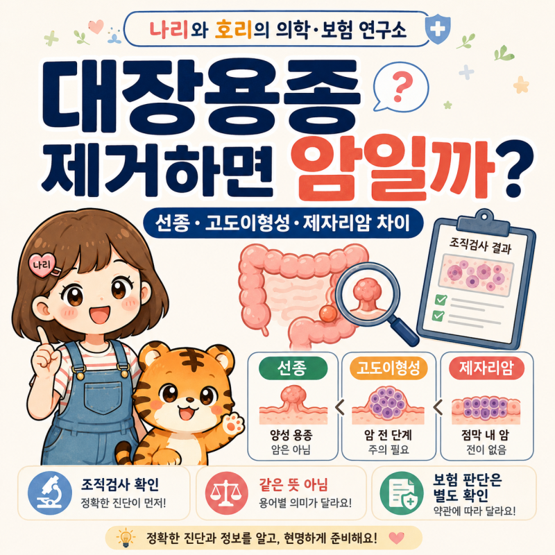 대장용종 제거하면 암일까?｜선종·고도이형성·제자리암 차이