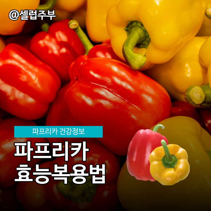 파프리카효능 색깔도 예쁘잖아요? 제대로 먹는법