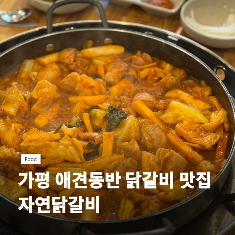 [가평] 애견동반 가능한 남이섬 닭갈비 맛집 자연닭갈비