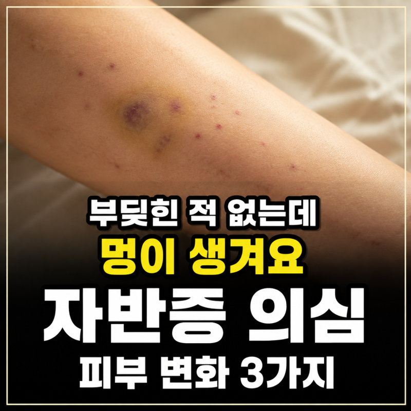 “어디 부딪힌 적도 없는데 멍이 생겨요” 자반증 의심할 수 있는 피부 변화 3가지