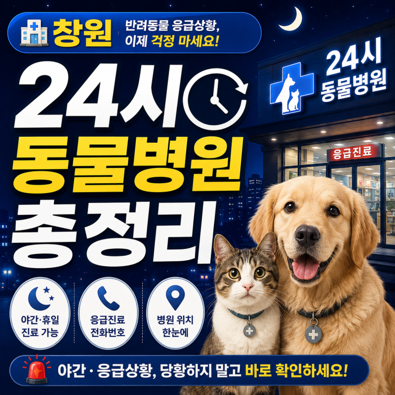 창원 24시 동물병원 총정리｜야간·응급진료 전화번호와 위치 한눈에!