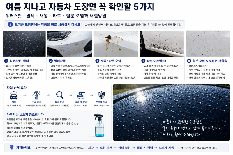 여름 지나고 자동차 도장면 꼭 확인할 5가지｜워터스팟·벌레자국·새똥·타르·철분 관리방....