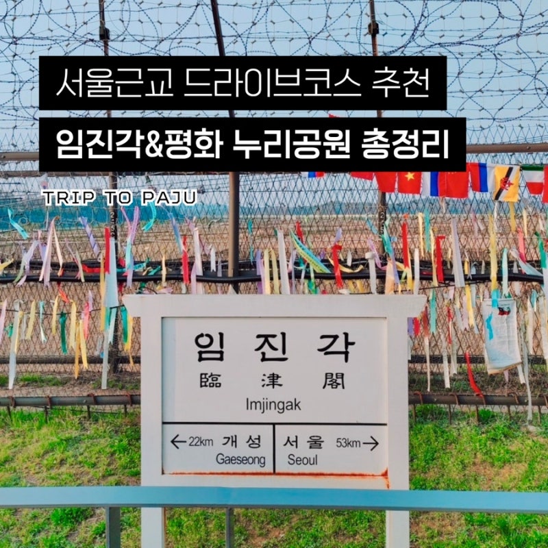 파주 임진각 평화누리공원｜연날리기 피크닉부터 자유의다리까지