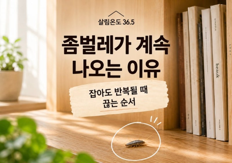 좀벌레가 계속 나오는 이유｜잡아도 반복될 때 끊는 순서