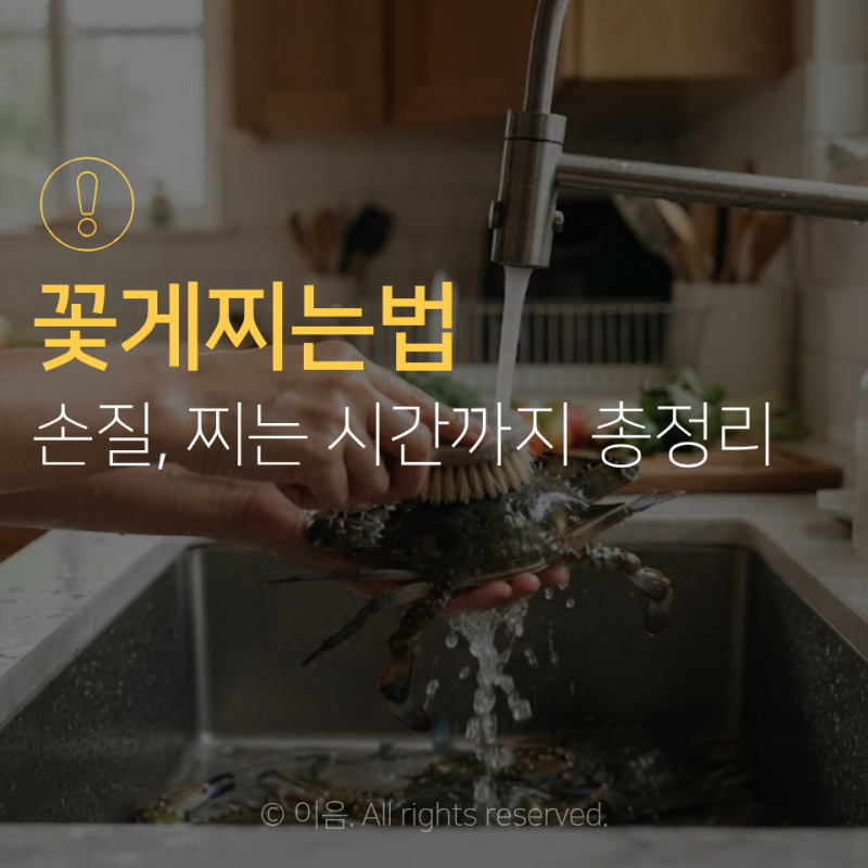 꽃게찌는법 손질부터 찌는 시간까지 총정리