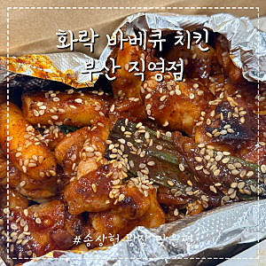 부산 진구 ㅣ 송상현 광장 맞은편 새로 오픈한 화락 바베큐 치킨 부산 직영점 내 돈 내산 후....