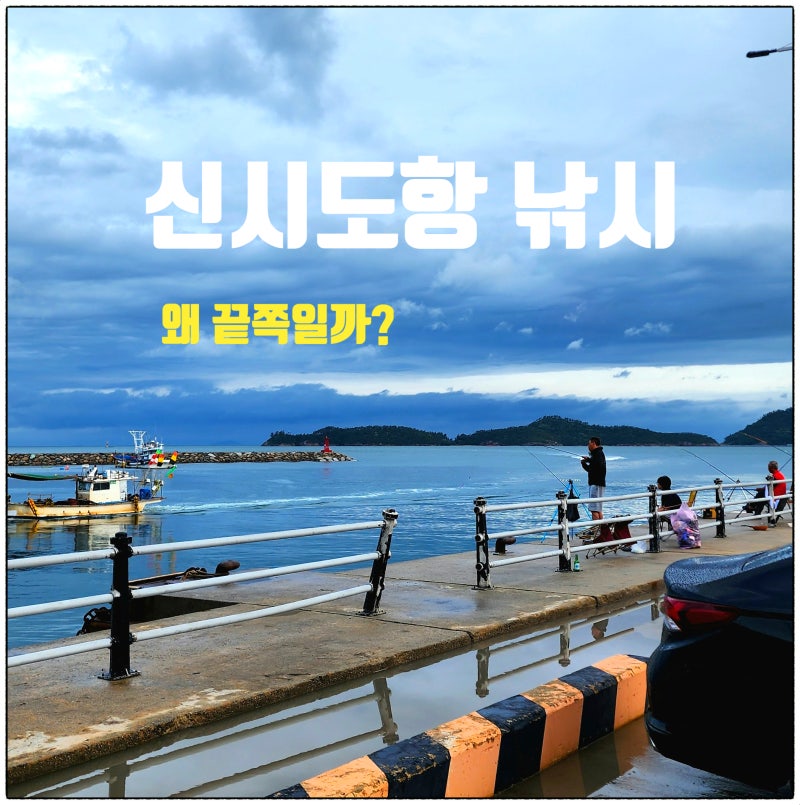 군산 신시도항 낚시, 직접 가보니 사람들이 끝쪽에 모이는 이유
