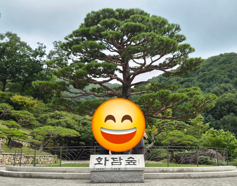 화담숲 단풍시기 2026 예약 오픈 날짜 방법
