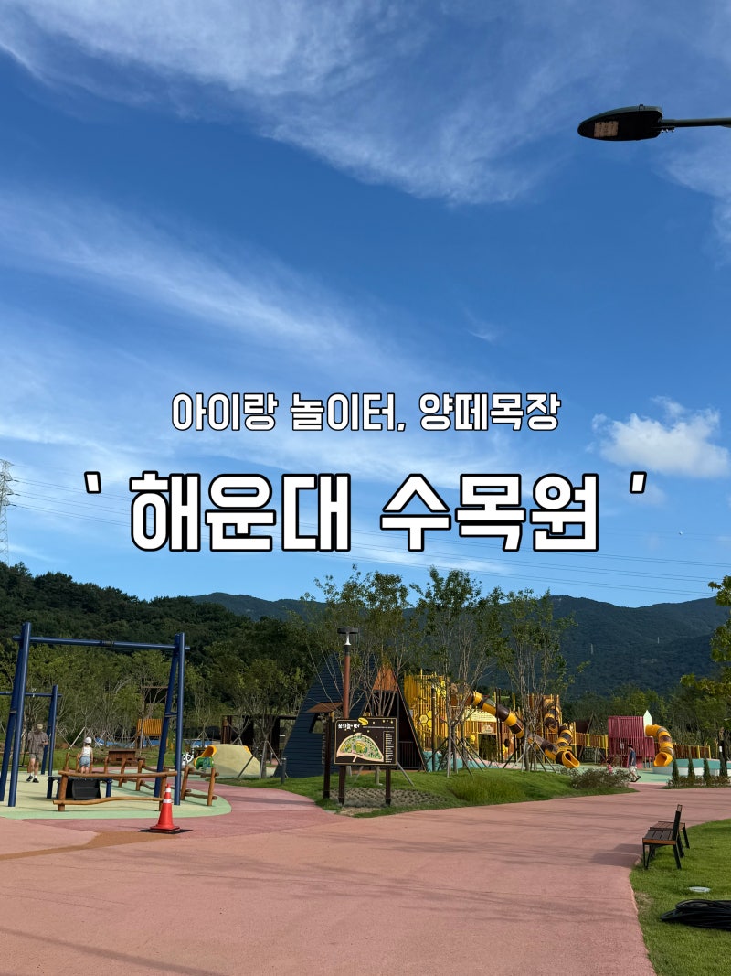 부산 아기랑 가볼만한곳 해운대 수목원 꿈의놀이터 양떼목장 다녀온 후기 셔틀버스시간 위....