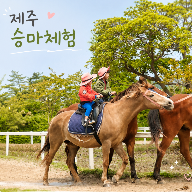 제주 더마파크 승마체험 제주도 서쪽 가족여행 코스