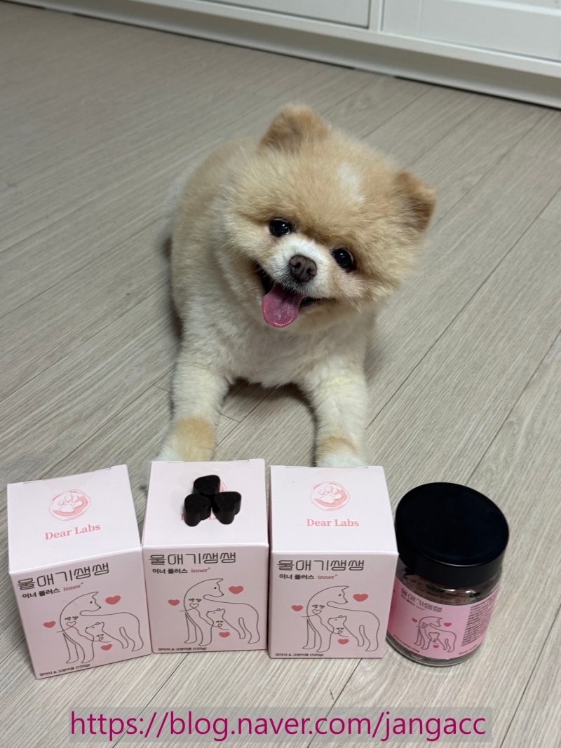 강아지 영양제 고민이라면 | 13살 노견 루루가 먹는 '울애기쌩쌩 이너 플러스'