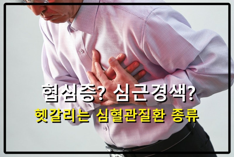 협심증? 심금경색? 헷갈리는 심혈관질환 종류, 한 눈에 끝내기
