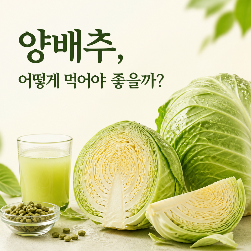 양배추 효능 3가지, 갈아마시기 즙먹는방법 및 양배추환 까지
