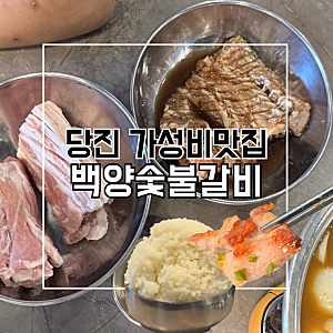 당진맛집 가성비 좋은 고기집 백양숯불갈비 당진점 후기