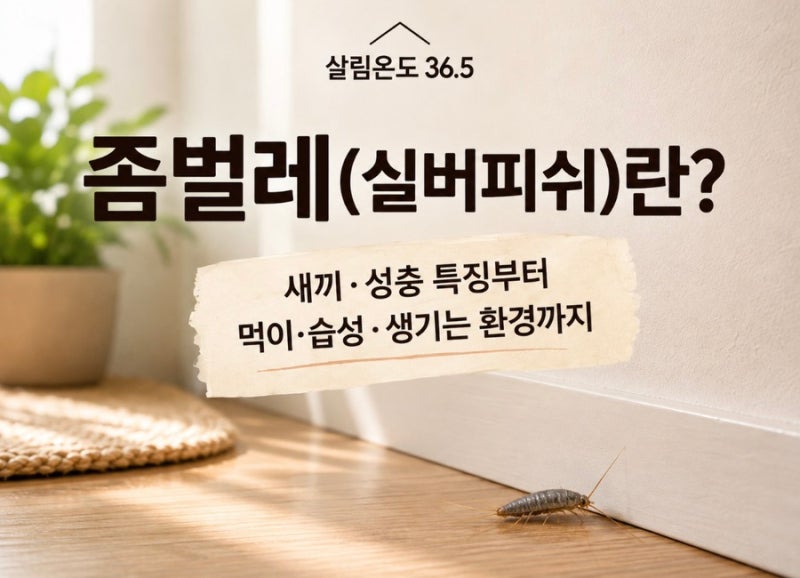 좀벌레(실버피쉬)란? 새끼·성충 특징부터 먹이·습성·생기는 환경까지