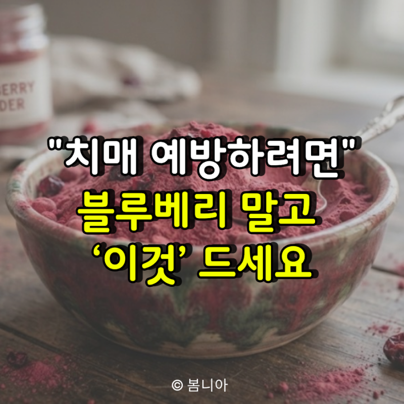 "치매 예방하려면" 블루베리 말고 ‘이것’ 드세요