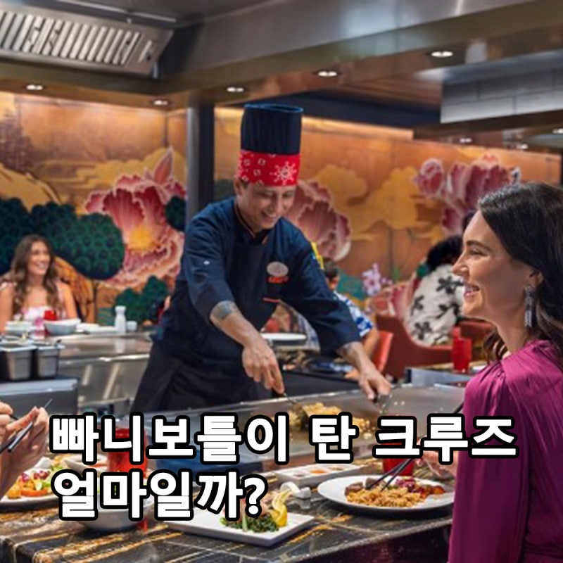 빠니보틀 신혼여행 크루즈, 일반인도 탈 수 있을까? 가격 찾아봤습니다