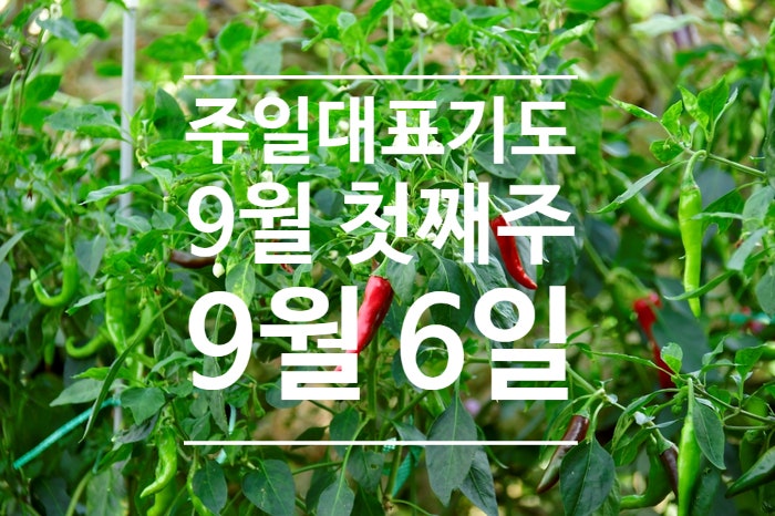 주일예배 대표기도문 2026년 9월 첫째 주