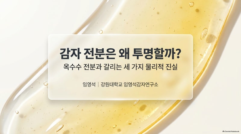 「감자의 부엌 과학」감자 전분은 왜 투명할까? 옥수수 전분과 갈리는 세 가지 | 튀김이 눅눅....