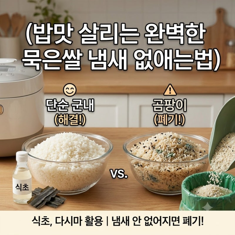 밥맛을 살리는 완벽한 묵은쌀 냄새 없애는법 그리고 버려야 할 기준