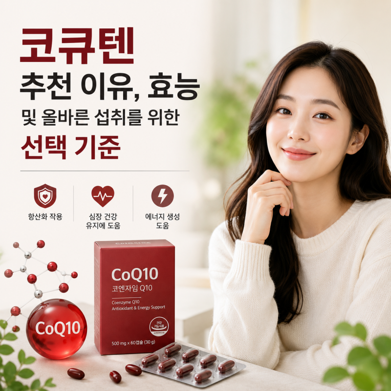 코큐텐 추천 이유, 효능 및 올바른 섭취를 위한 선택 기준