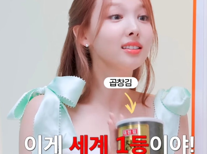 TWICE Nayeon's Favorite Kim and Healthy Snacks Revealed