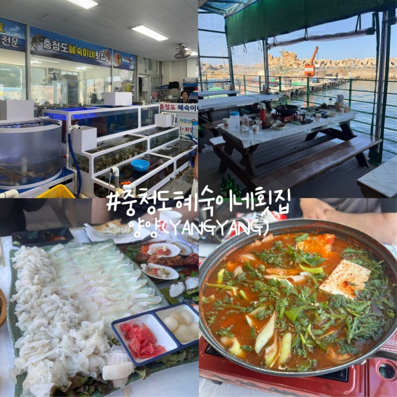 양양 낙산사 횟집 충청도혜숙이네횟집