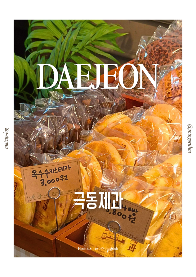 대전 중구 극동제과 백년가게 빵집 호두쉬폰 단팥빵 주차 후기