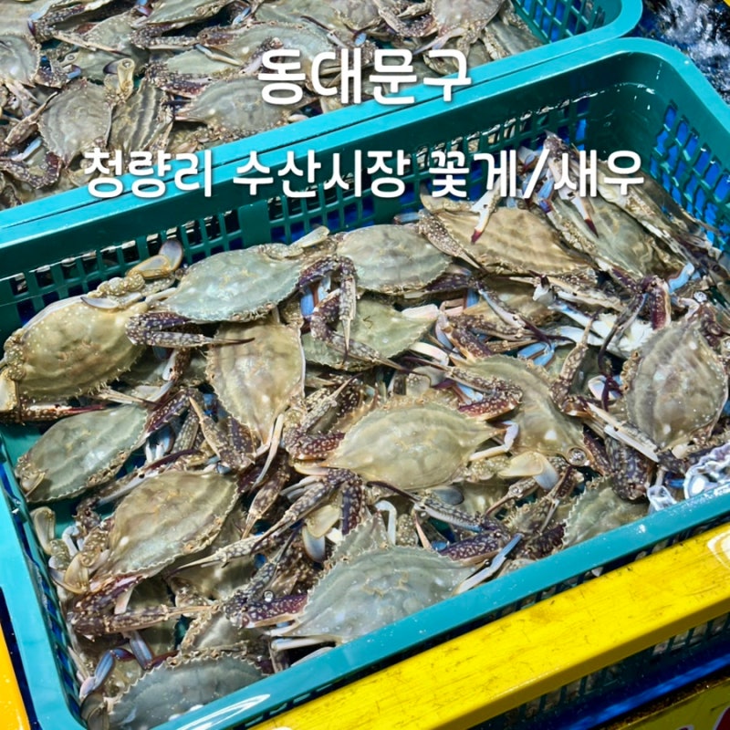 청량리 수산시장 꽃게 생새우 가격 포장 영업시간 주차장 위치