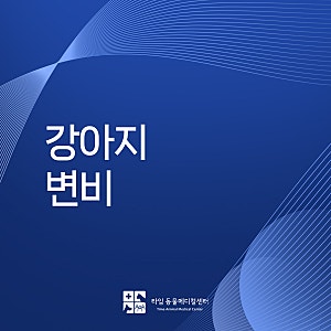 봉명동 동물병원 강아지 똥 못싸는 변비 원인과 해결방법