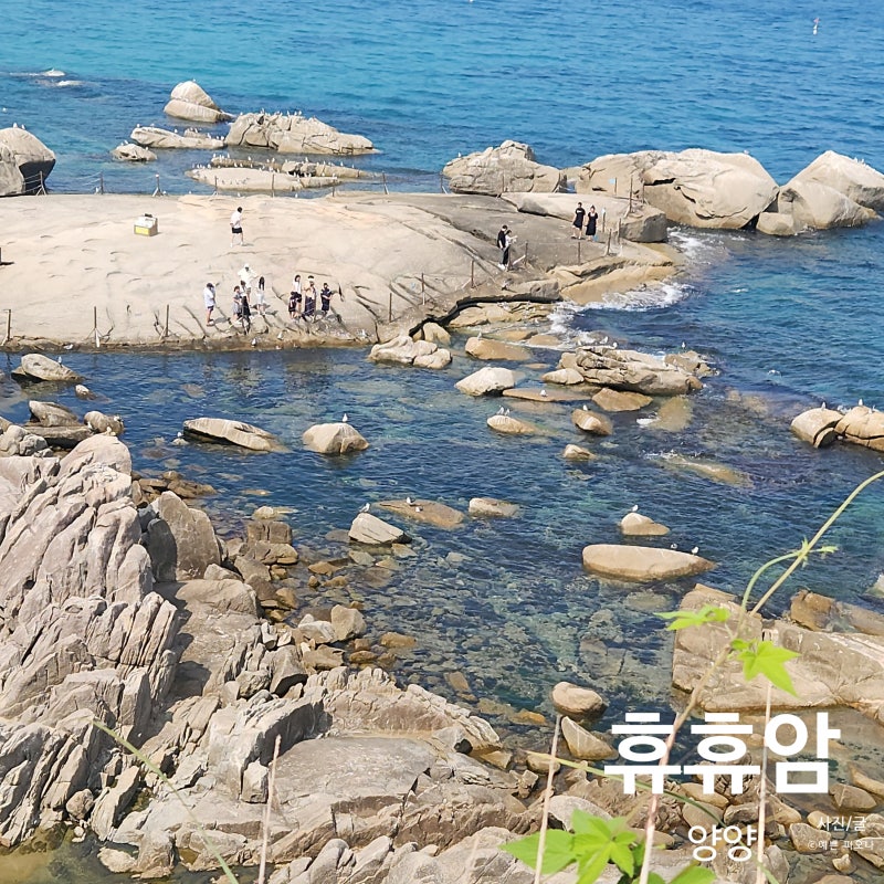 양양 휴휴암 연화대 강원도 바다 사찰 여행 주차장