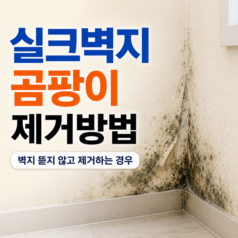실크벽지곰팡이제거방법, 벽지를 살릴 수 있는 경우와 철거해야 하는 경우